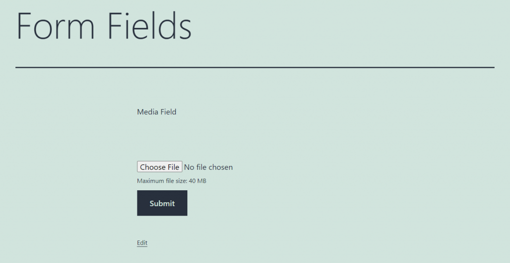 media form field general look