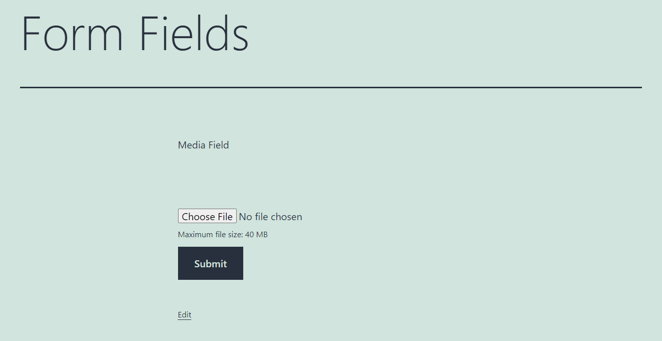 JetFormBuilder Media Field Overview Crocoblock