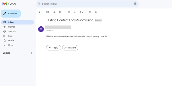 Testing Contact Form Submission in Gmail