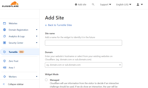 site name and domain fields