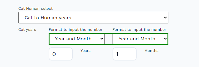 the result of the dynamic value