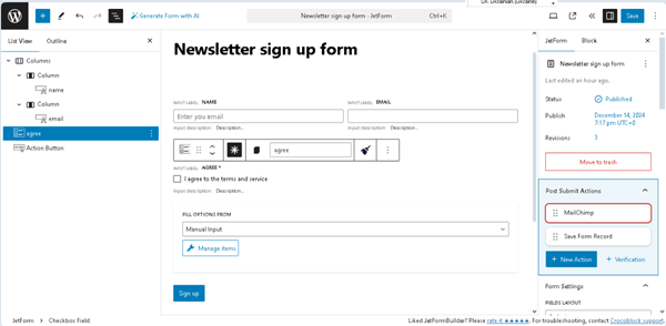 the developed newsletter signup form