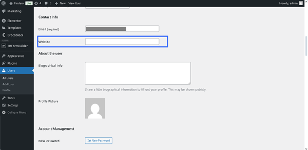 the website field in the user profile