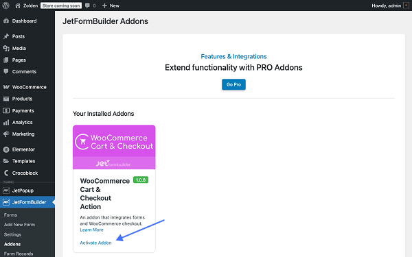 activate add-on