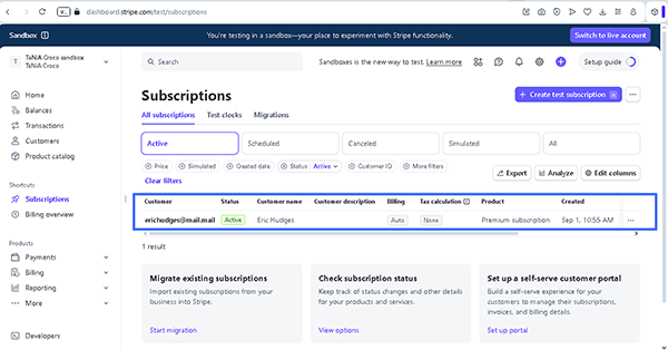 stripe submission in the stripe dashboard