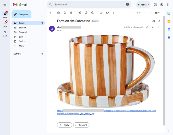 image URL retrieved to email with the form macros