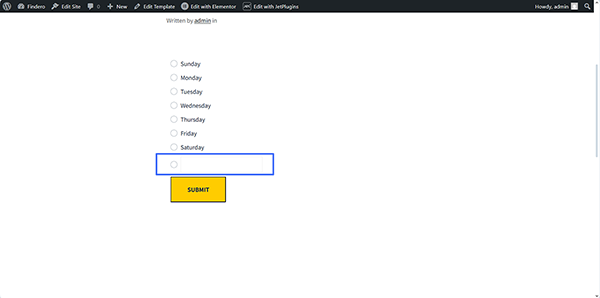 custom option in the radio field on the front-end
