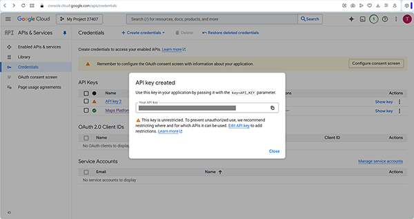 settings of the new API key