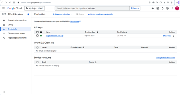 the Google Cloud credentials